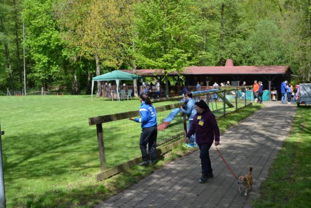 THS Kreismeisterschaft 2019