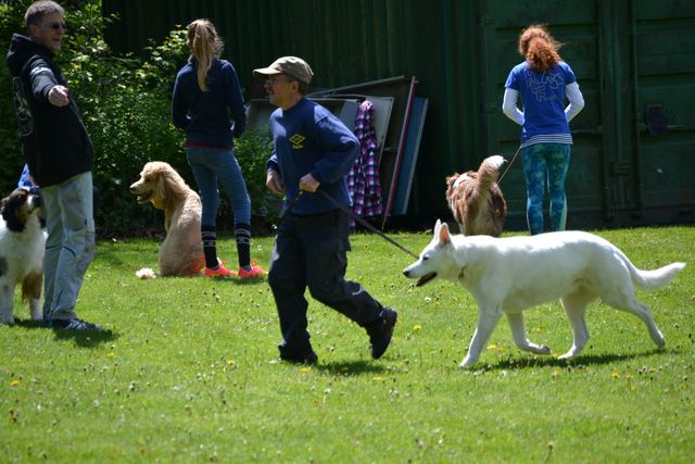 THS Kreismeisterschaft 2019