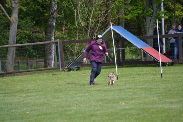 THS Kreismeisterschaft 2019