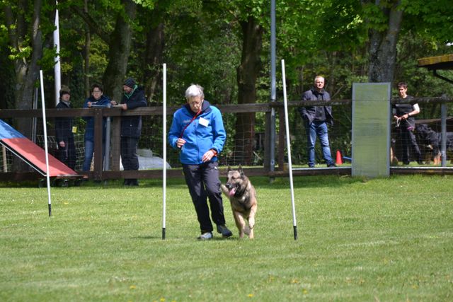 THS Kreismeisterschaft 2019