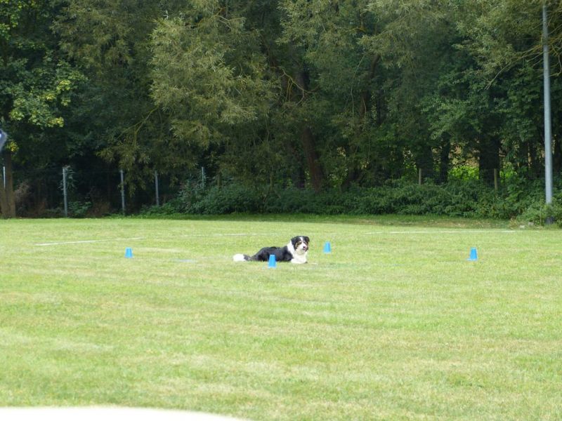 Obi Herbstprüfung 2019