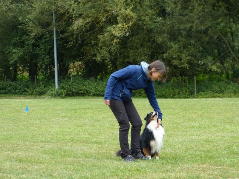 Obi Herbstprüfung 2019