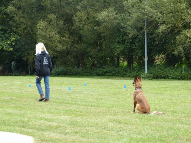 Obi Herbstprüfung 2019