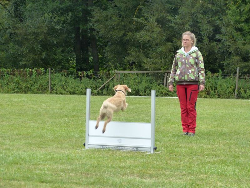 Obi Herbstprüfung 2019