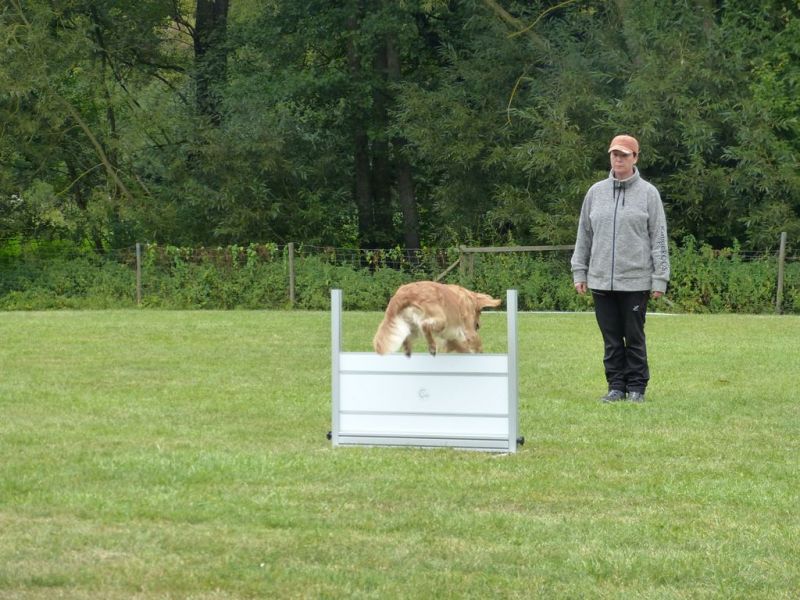 Obi Herbstprüfung 2019