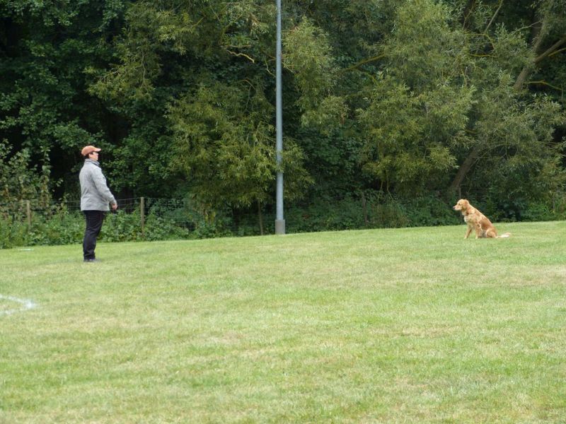 Obi Herbstprüfung 2019