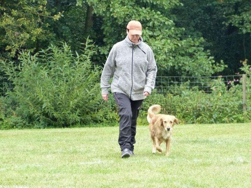 Obi Herbstprüfung 2019