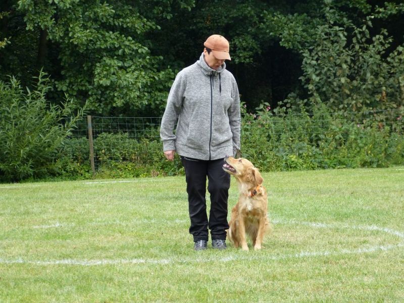 Obi Herbstprüfung 2019
