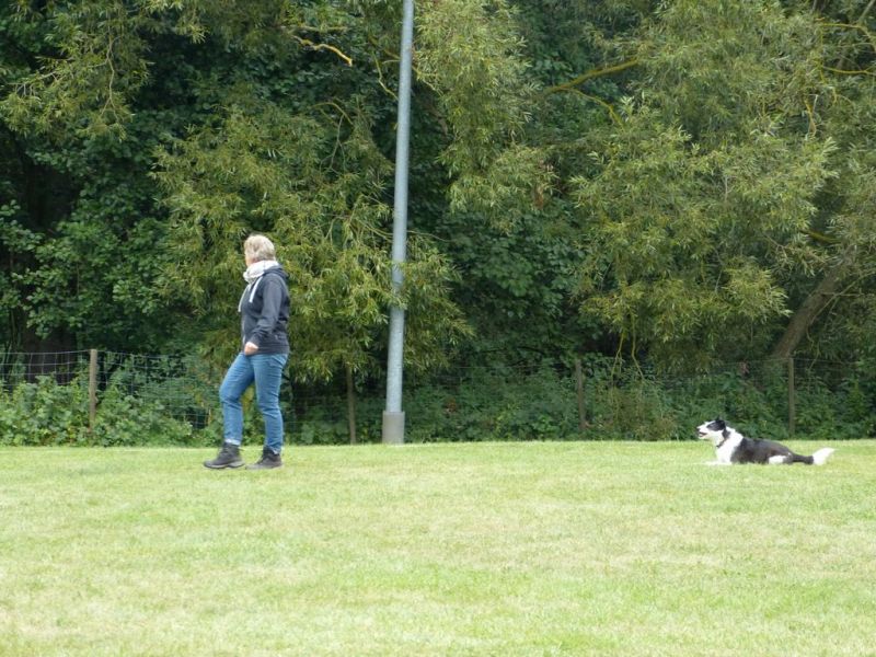 Obi Herbstprüfung 2019