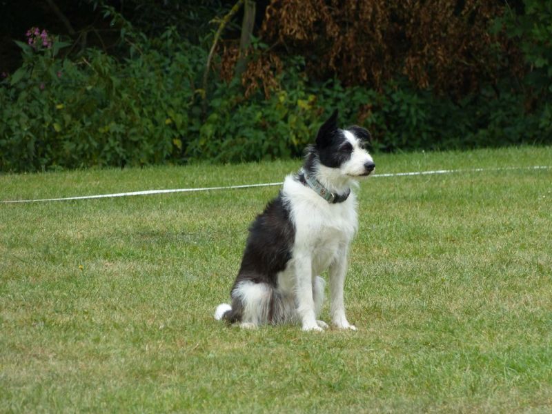 Obi Herbstprüfung 2019