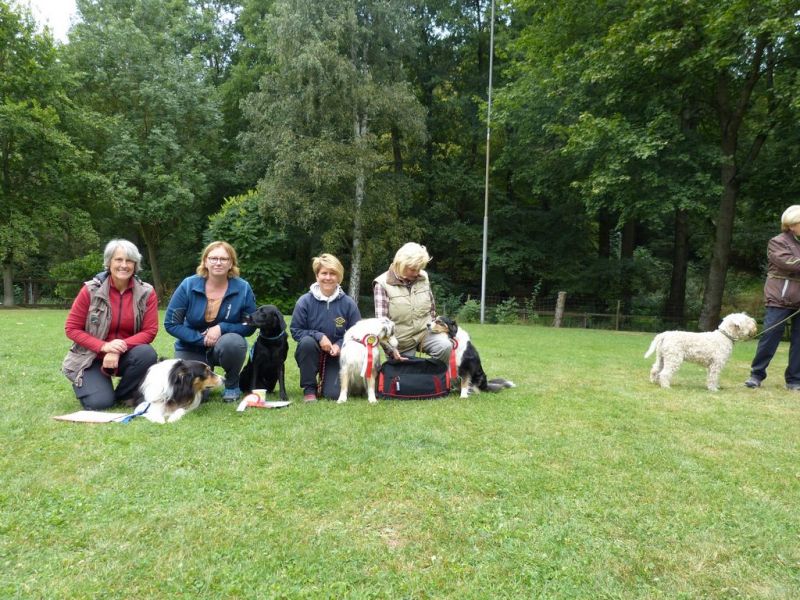 Obi Herbstprüfung 2019