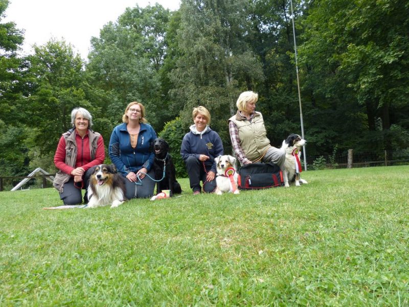 Obi Herbstprüfung 2019