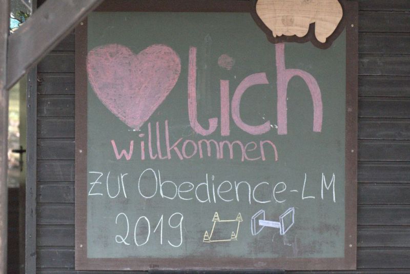 Obi LM 2019