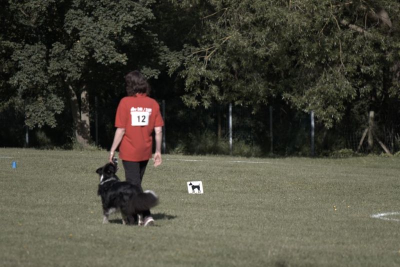 Obi LM 2019