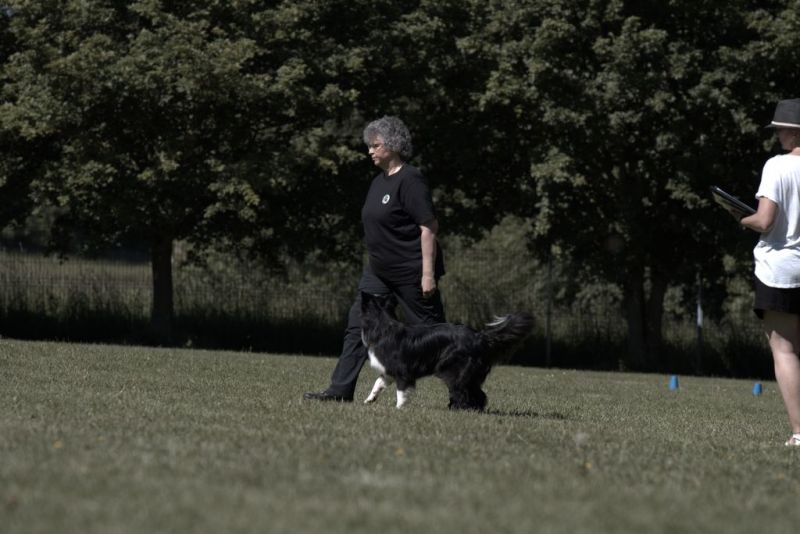 Obi LM 2019