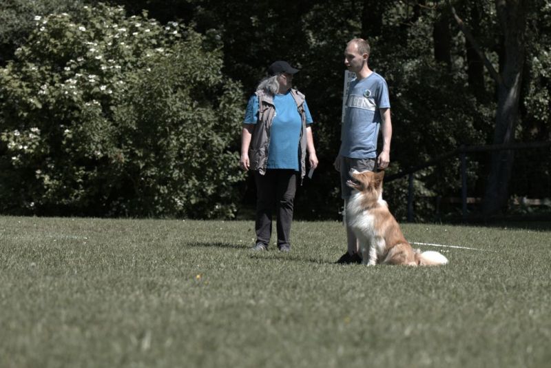 Obi LM 2019