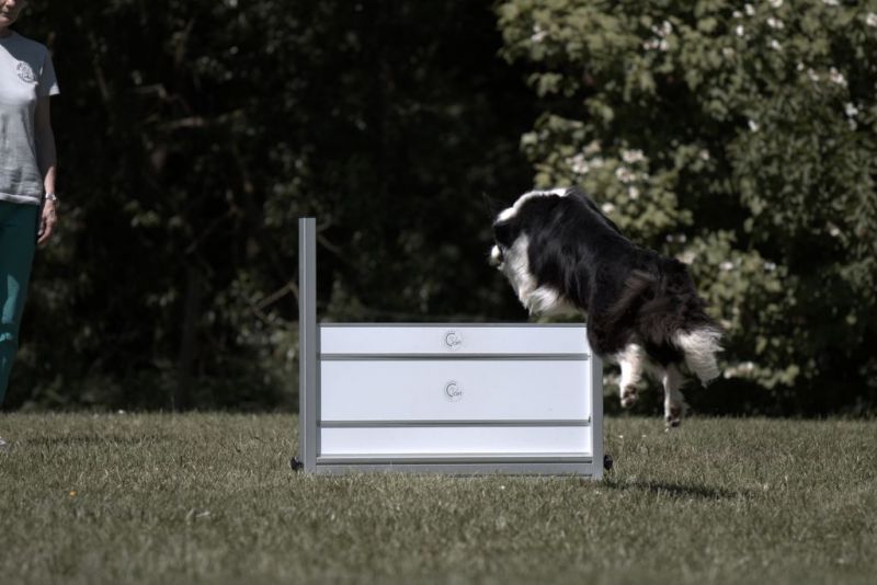 Obi LM 2019