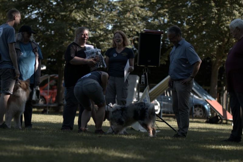 Obi LM 2019