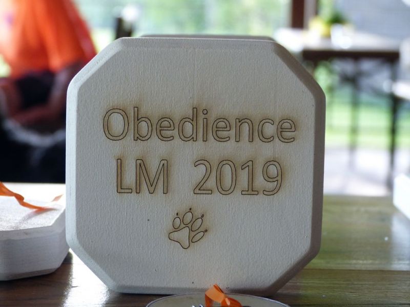 Obi LM 2019