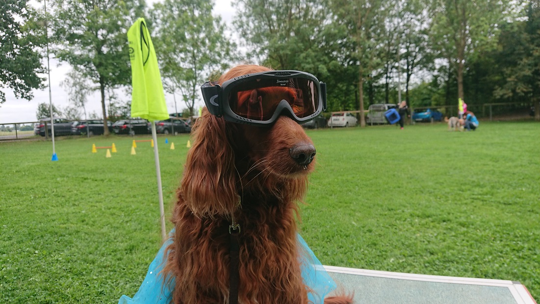 Sommerfest 2021