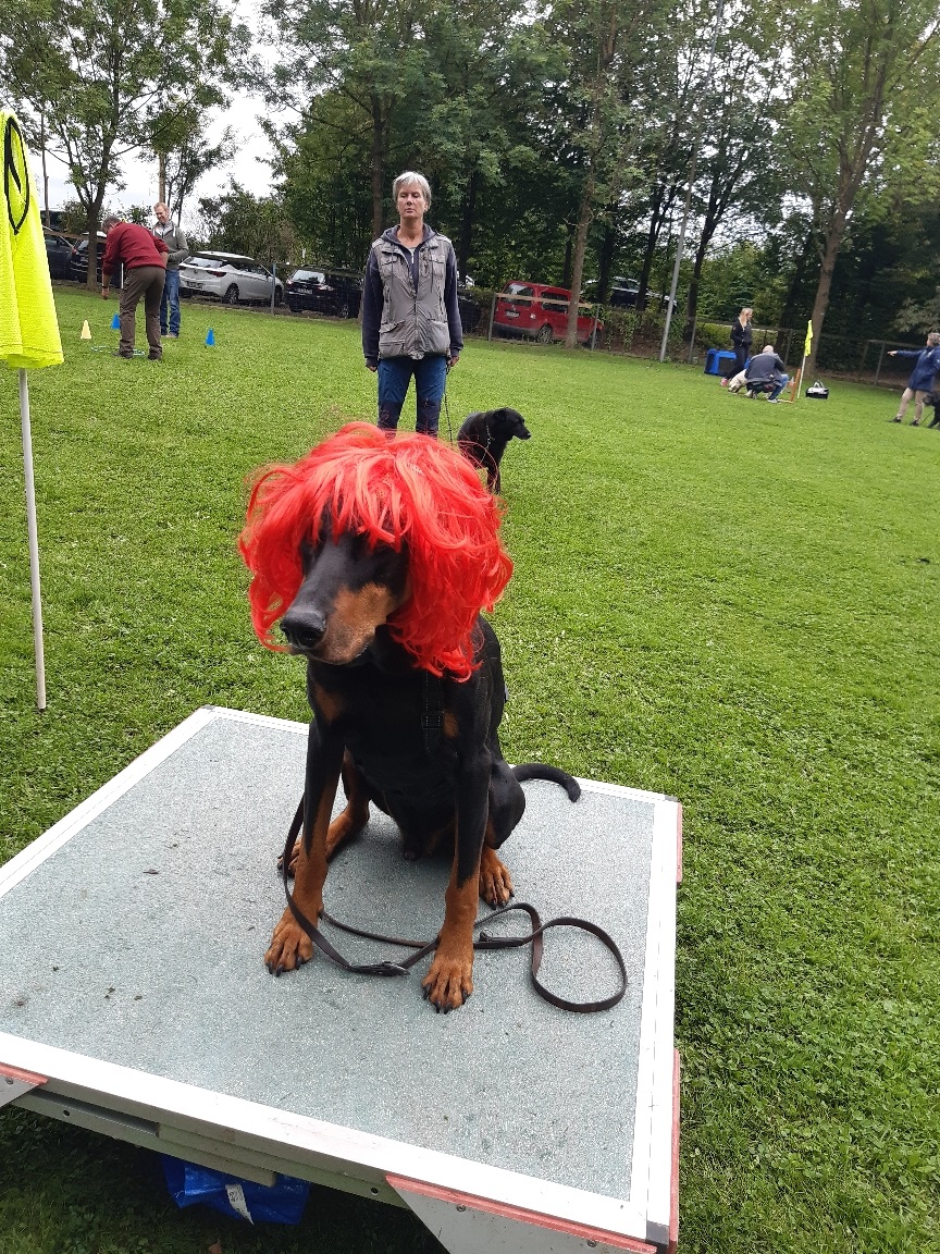 Sommerfest 2021