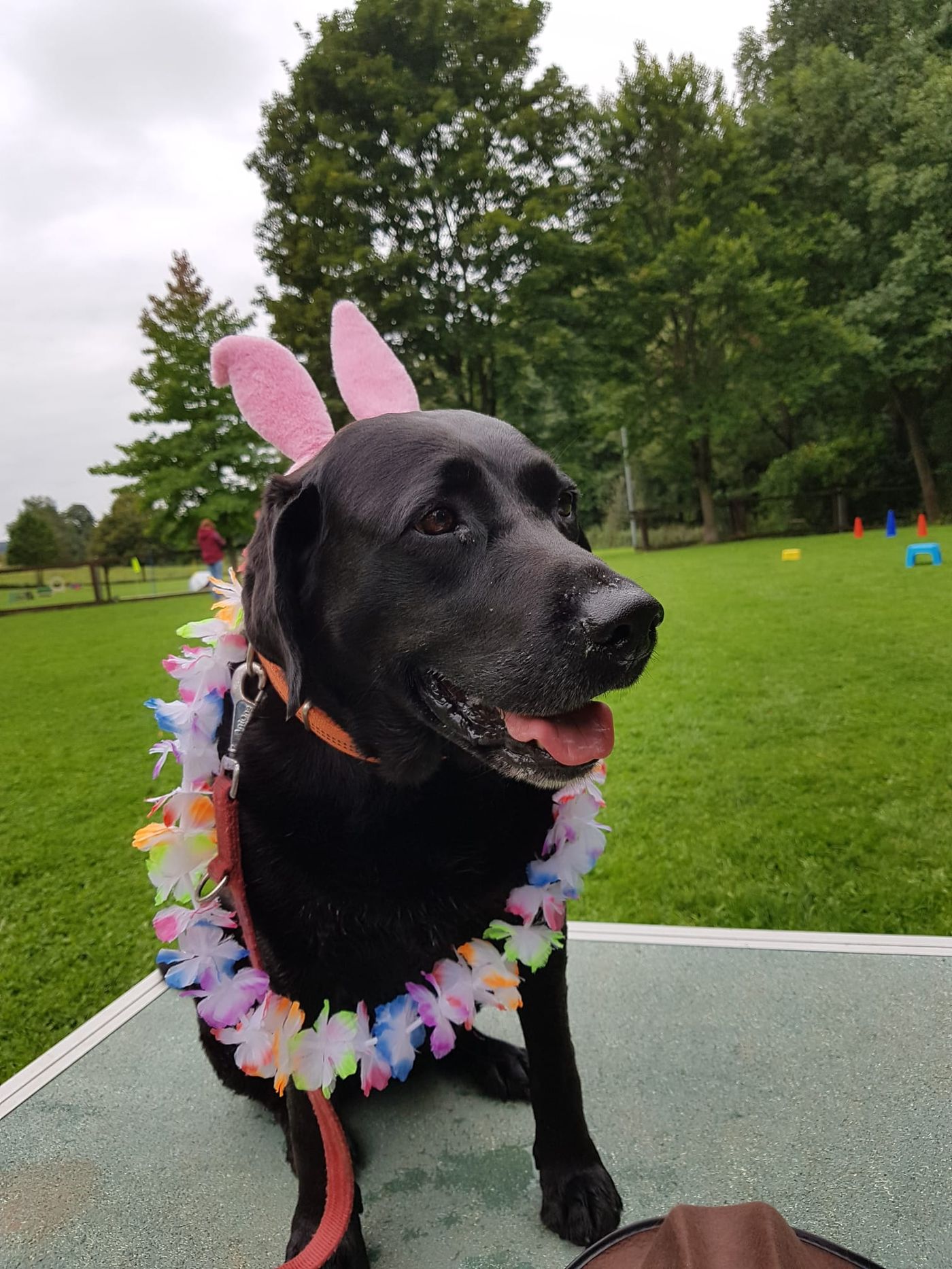 Sommerfest 2021
