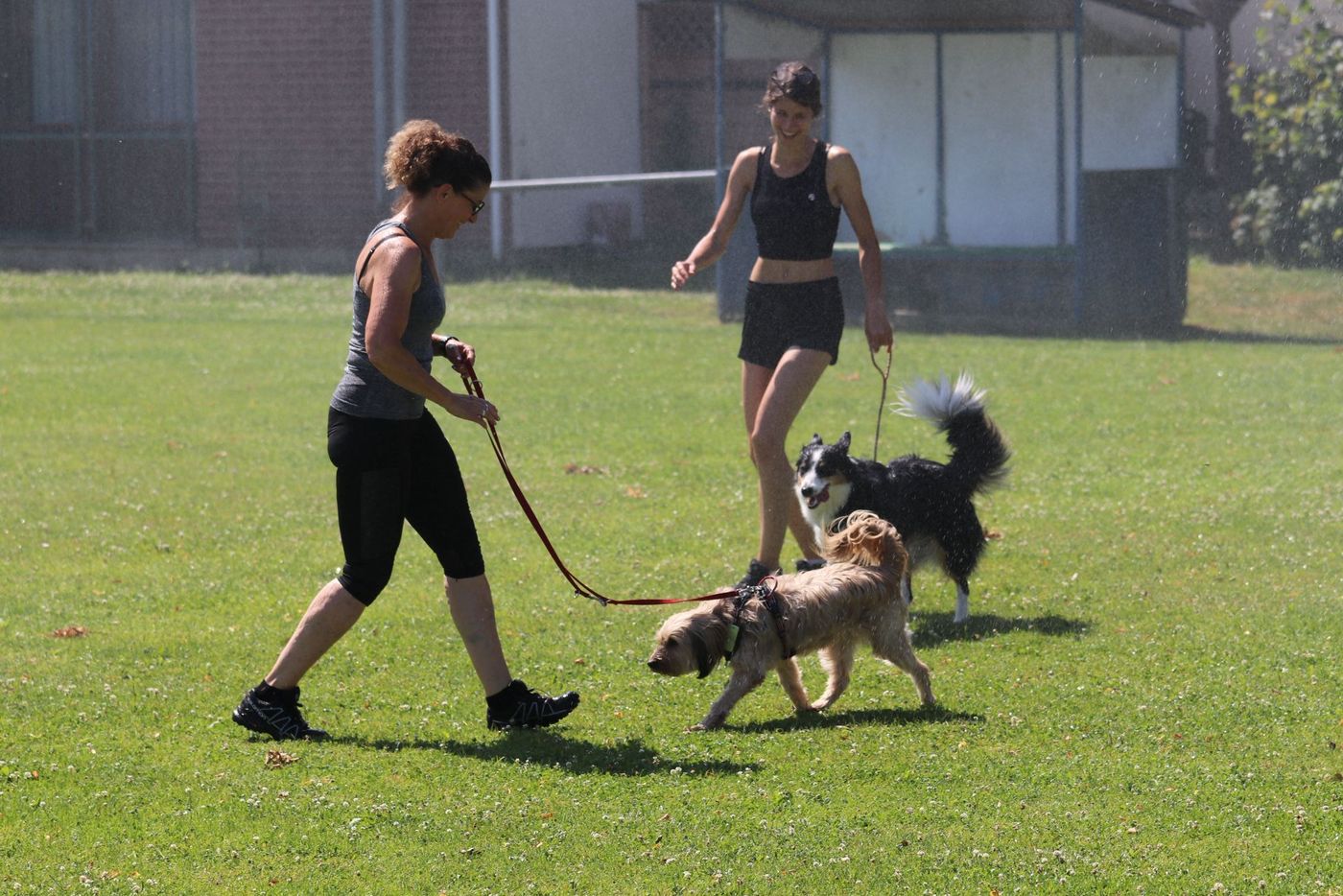 Agility Turnier Erbstadt