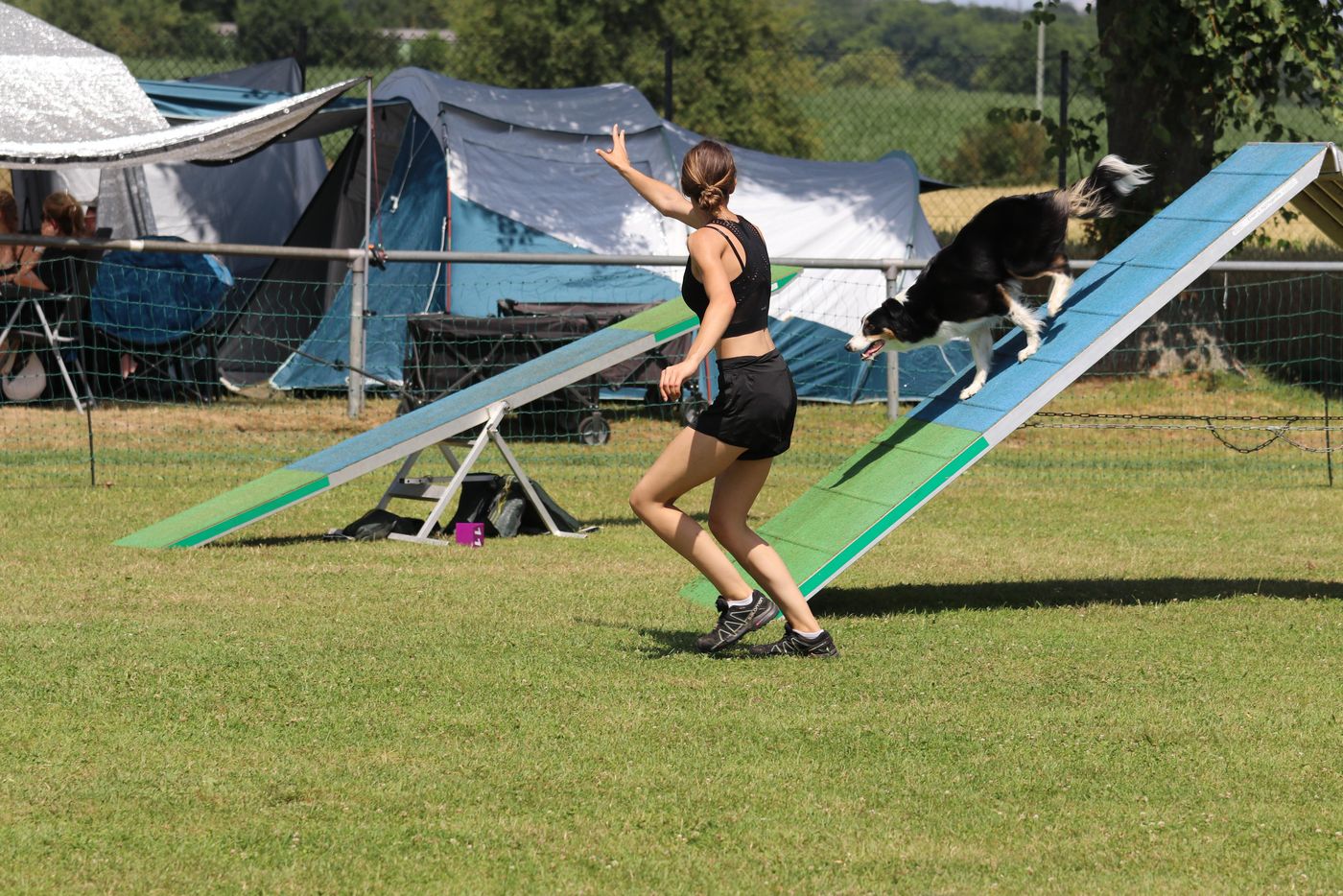 Agility Turnier Erbstadt