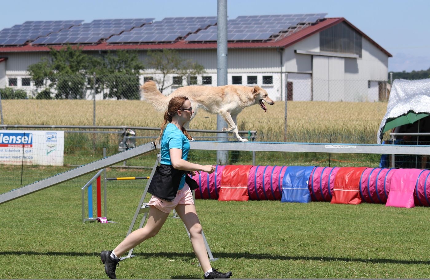 Agility Turnier Erbstadt