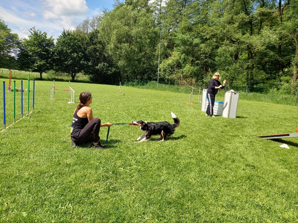 Agi-Seminar mit Denise