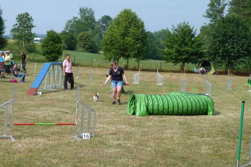 Agi-Turnier 2015