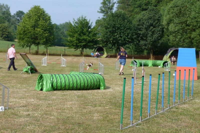 Agi-Turnier 2015