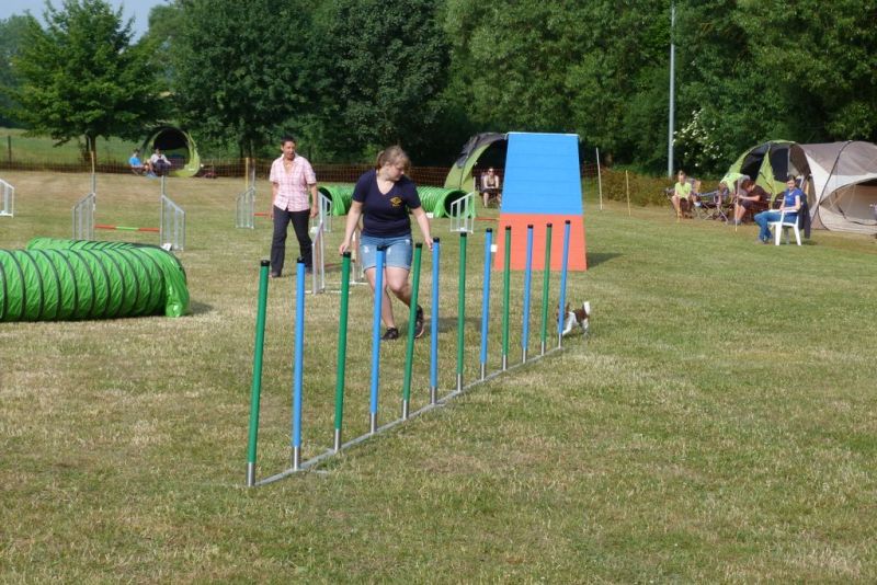 Agi-Turnier 2015