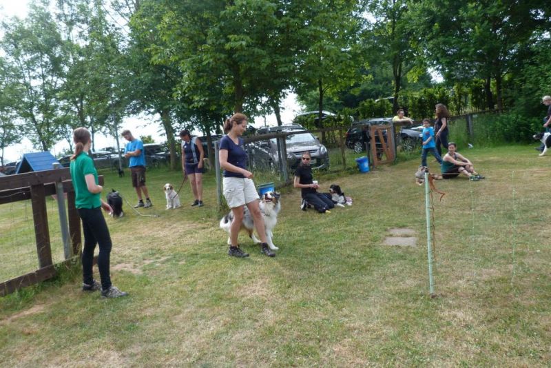 Agi-Turnier 2015