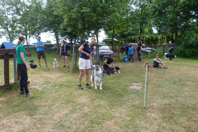 Agi-Turnier 2015