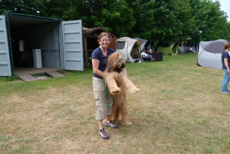 Agi-Turnier 2015