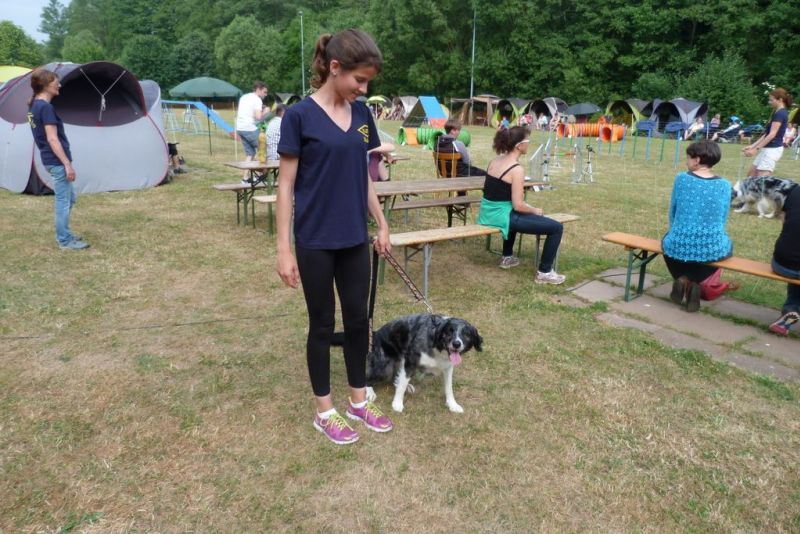 Agi-Turnier 2015