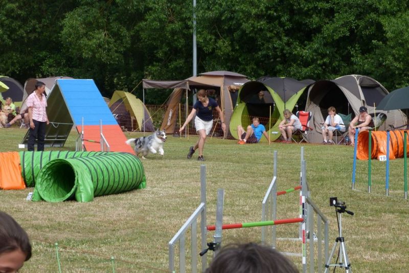 Agi-Turnier 2015