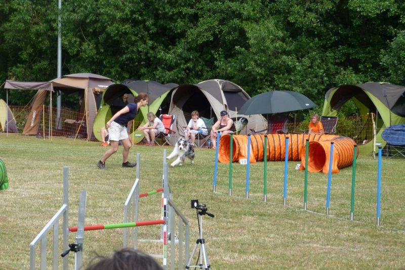 Agi-Turnier 2015