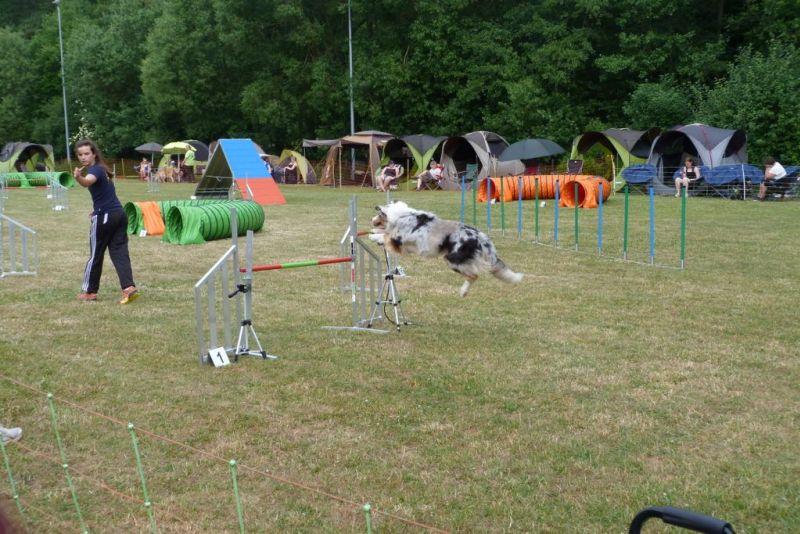 Agi-Turnier 2015