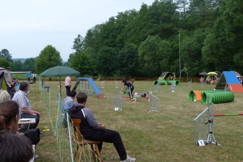 Agi-Turnier 2015