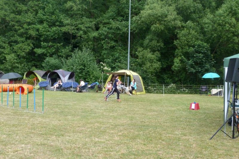 Agi-Turnier 2015