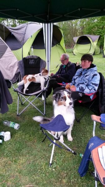 Agility DVM-Lauf