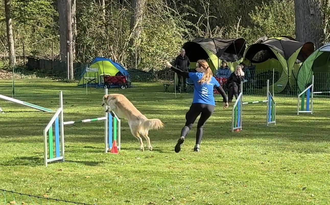 Agility-Kreismeisterschaft