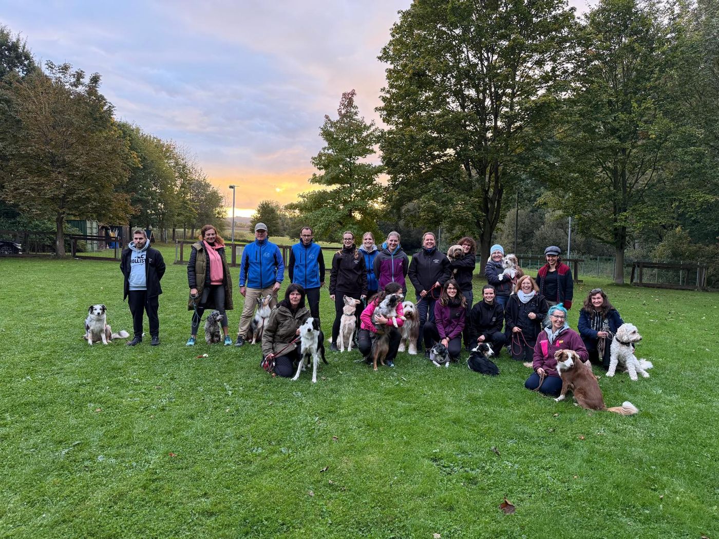 Agility Run and Grill