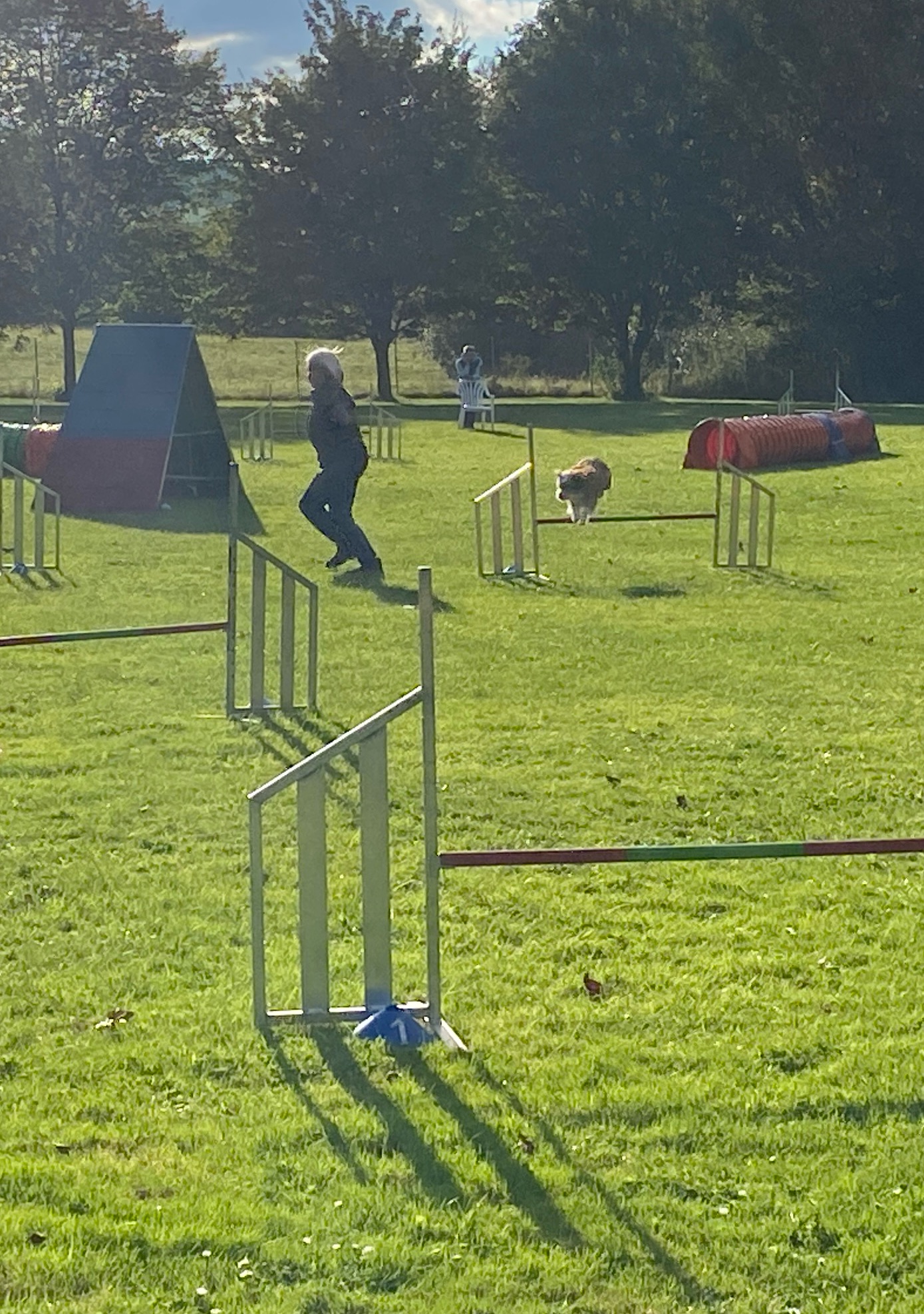 Agility Run and Grill