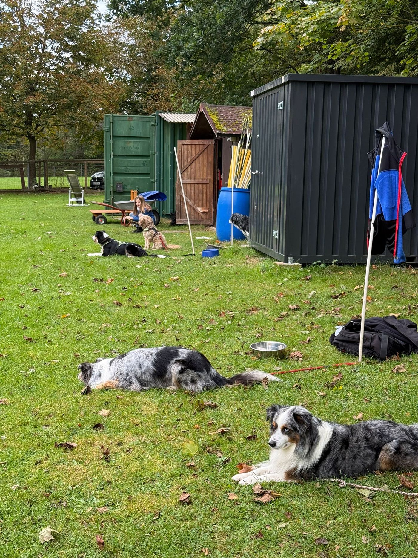 Agility Run and Grill