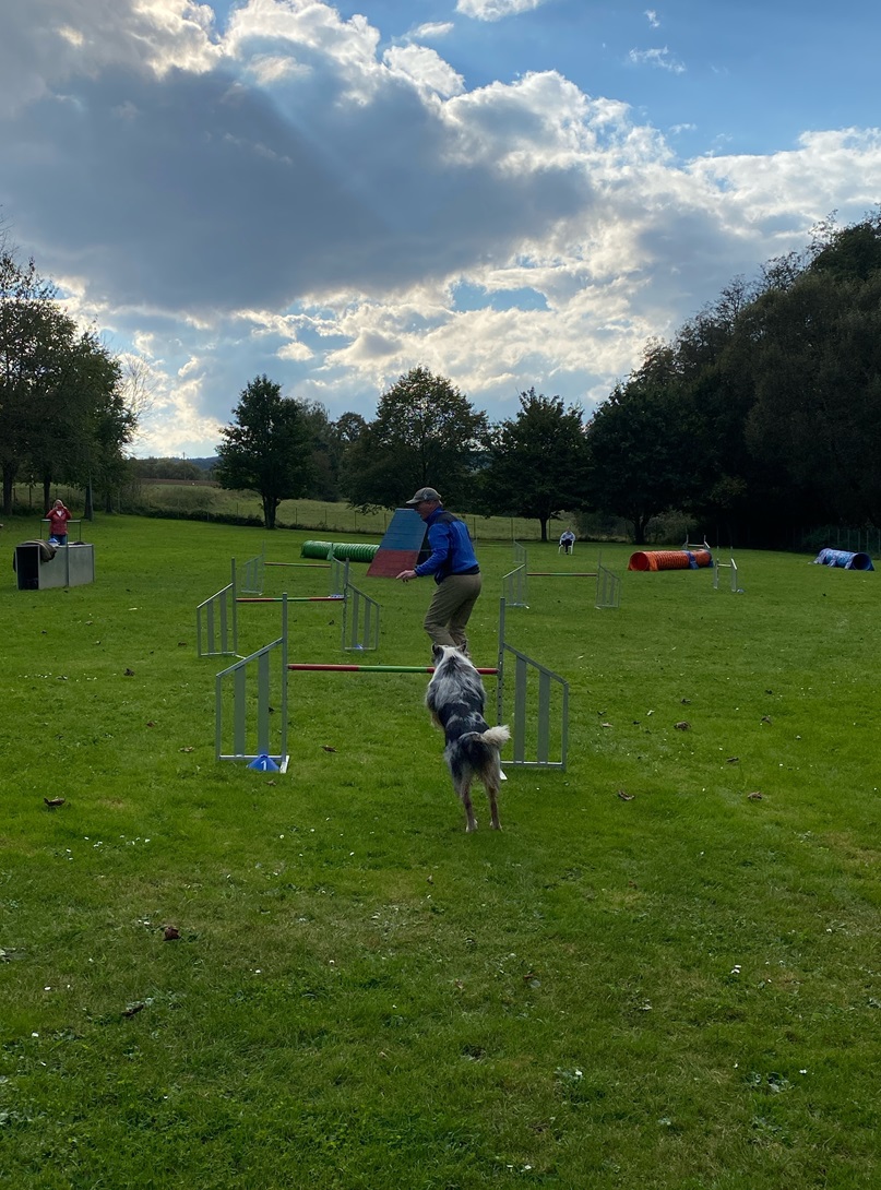 Agility Run and Grill