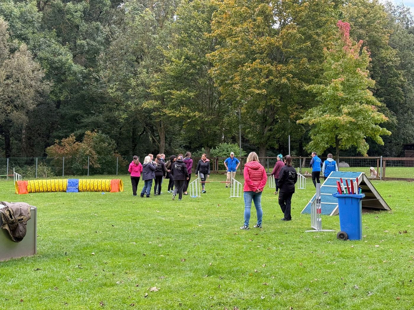 Agility Run and Grill