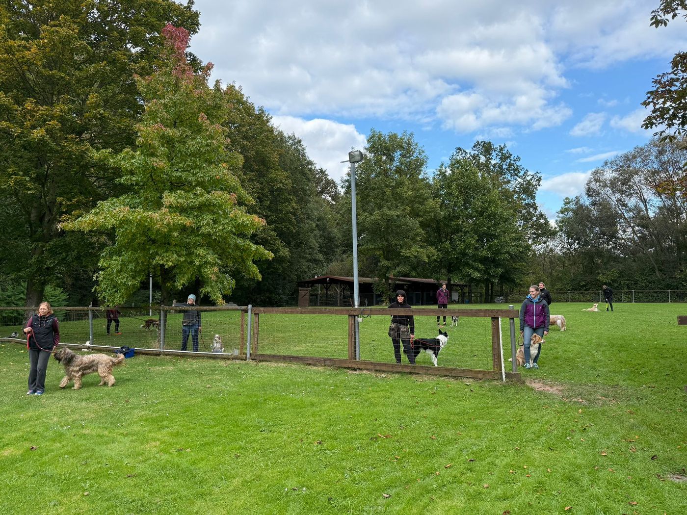 Agility Run and Grill
